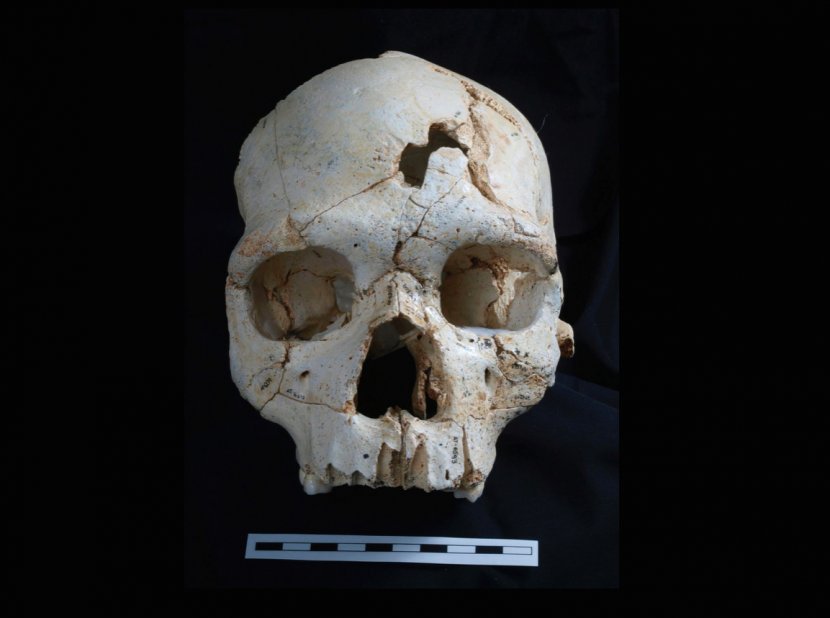 Антропологи расследуют серию убийств, совершенных 430 тысяч лет назад