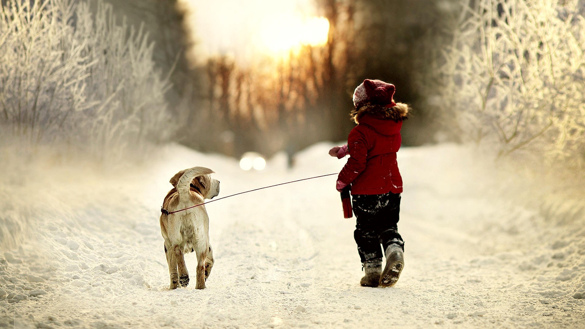 9 Правил зимней прогулки с малышом
