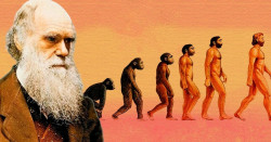 История теории эволюции Дарвина