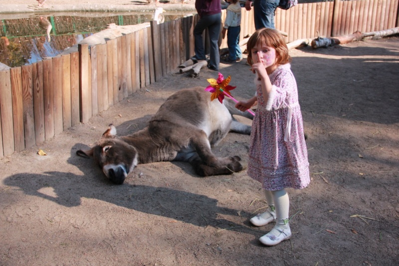В Москве на глазах у детей спецназ расстрелял животных зоопарка