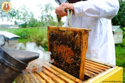 Какие товары необходимы пчеловоду?