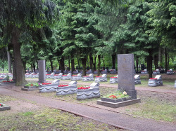 Северное кладбище в Санкт-Петербурге: история и уникальность