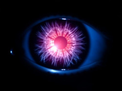 Лечение амблиопии собственными стволовыми клетками: реальная перспектива или преждевременная надежда?