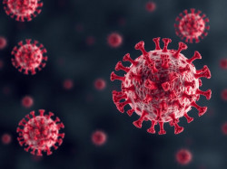 Респираторно-синцитиальный вирус — невидимый сосед зимних простуд: что важно знать