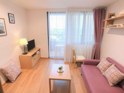 Однокомнатная квартира, которая работает: идеи для жизни, работы и отдыха